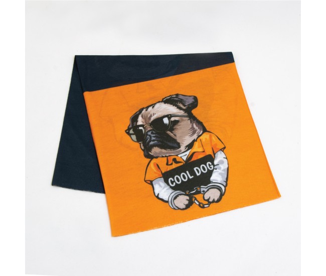 UNISEX DOG 12 FIGURLU BUFF